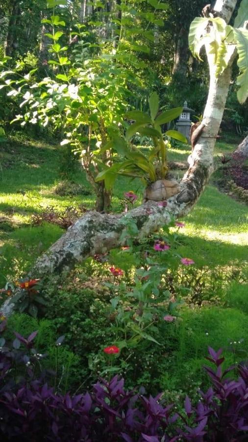 Balian Bliss Retreat Resort - Adults Only 外观 照片