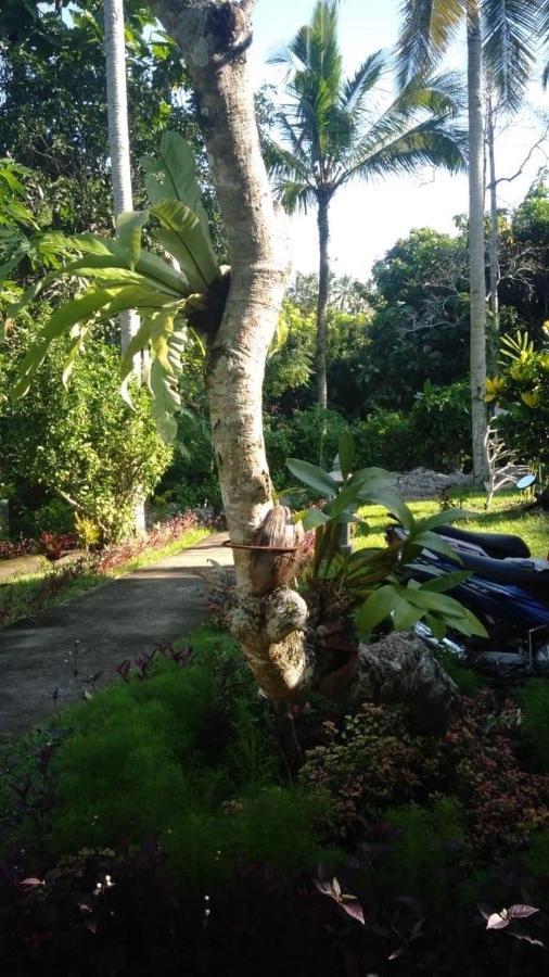 Balian Bliss Retreat Resort - Adults Only 外观 照片