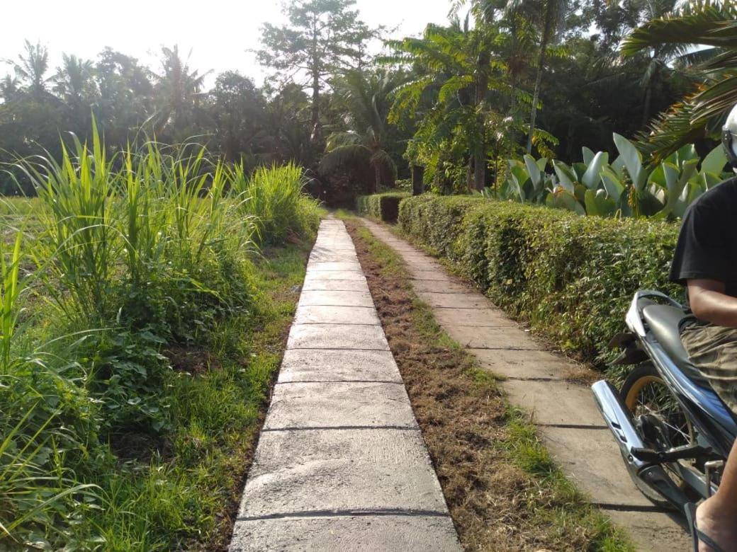 Balian Bliss Retreat Resort - Adults Only 外观 照片
