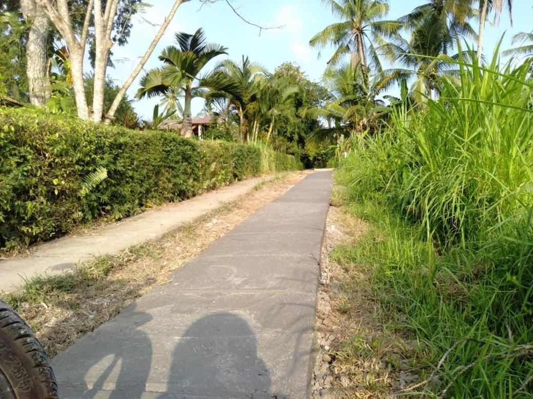 Balian Bliss Retreat Resort - Adults Only 外观 照片