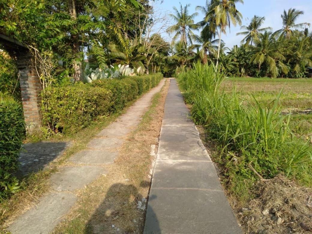 Balian Bliss Retreat Resort - Adults Only 外观 照片